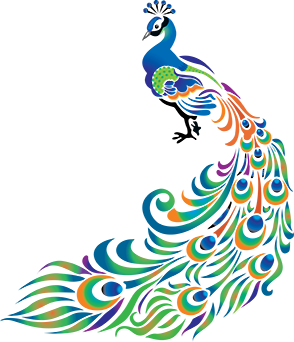Full Peacock Logo